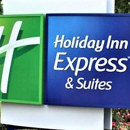 Holiday Inn Express & Suites - Detroit - Dearborn By Ihg Экстерьер фото